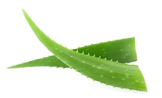 Fungent enthält Aloe Vera